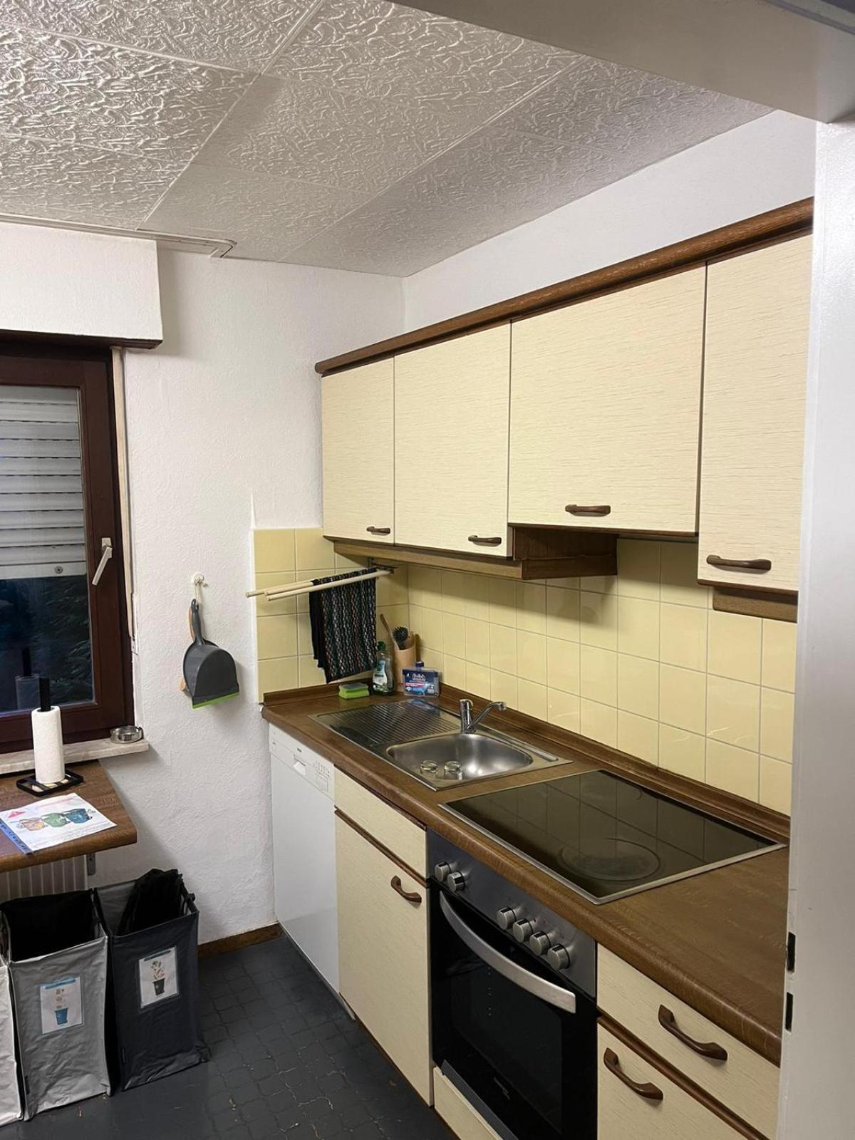 Appartement Avec Jacuzzi Et Jardin Kehl Exterior photo
